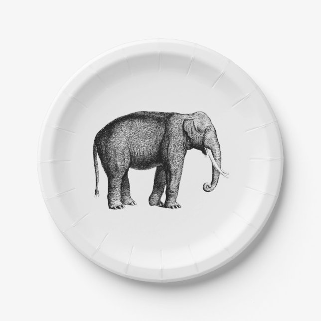 Plato De Papel Dibujo Antiguo de Elefante (Anverso)