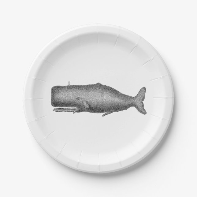 Plato De Papel Dibujo de ballenas del siglo XIX (Anverso)