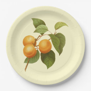 Plato De Papel Dibujo de color de agua de albaricoques de Naranja
