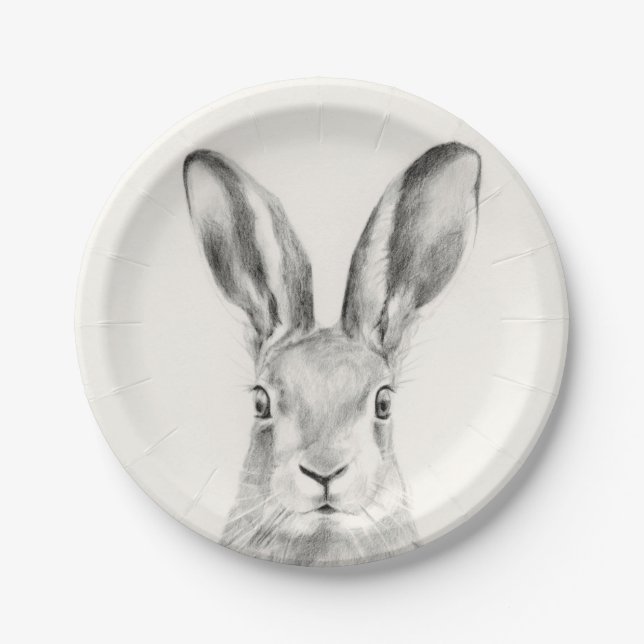 Plato De Papel Dibujo de lápiz de conejo (Anverso)