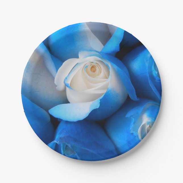 Plato De Papel Diemudis (Anverso)