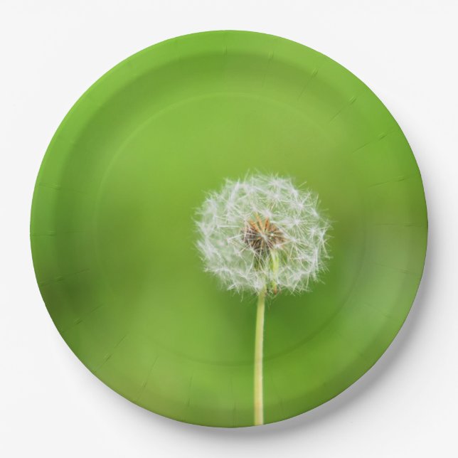 Plato De Papel Diente de león (Anverso)