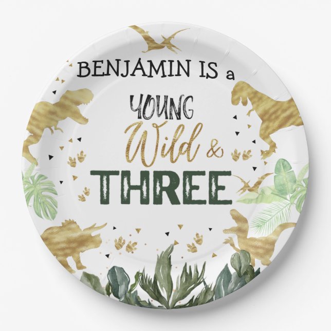 Plato De Papel Dinosaur 3er Fiesta de niño de cumpleaños (Anverso)