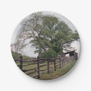 Plato De Papel Dirección