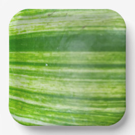 Plato De Papel Diseño de hoja natural de 9 pulgadas para una cena