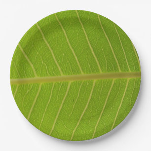 Plato De Papel Diseño de hoja verde natural y línea amarilla clar
