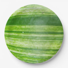 Plato De Papel Diseño de hojas naturales de 9 pulgadas en verde o