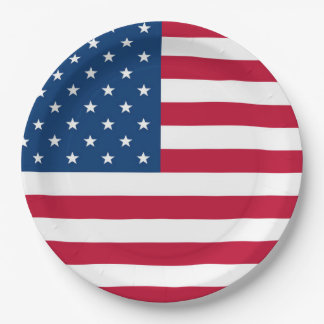 Plato De Papel Diseño de la bandera de los Estados Unidos 4 de ju
