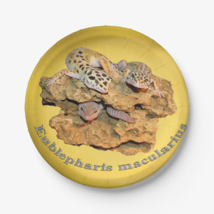 Plato De Papel ¡Diseño del gecko del leopardo para todos!