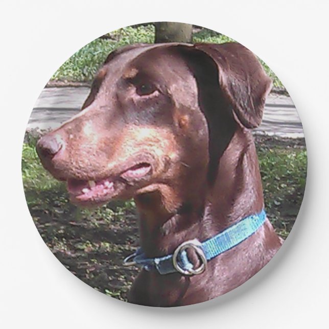 Plato De Papel Doberman Pinscher Red (Anverso)