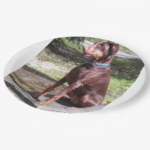 Plato De Papel doberman rojo