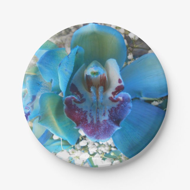 Plato De Papel Donella (Anverso)