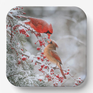 Plato De Papel Dos cardenales con bayas rojas en invierno