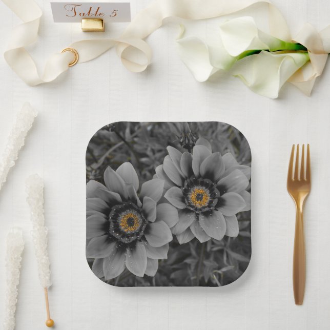 Plato De Papel Dos de la misma clase (Boda)