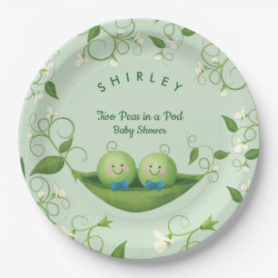 Plato De Papel Dos maricas en una ducha gemela de niño bebé