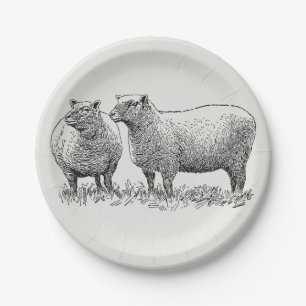 Plato De Papel Dos Ovejas Ilustradas