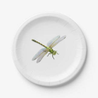 Plato De Papel Dragón