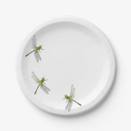 Plato De Papel Dragonfly