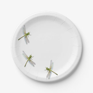 Plato De Papel Dragonfly