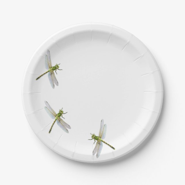 Plato De Papel Dragonfly (Anverso)