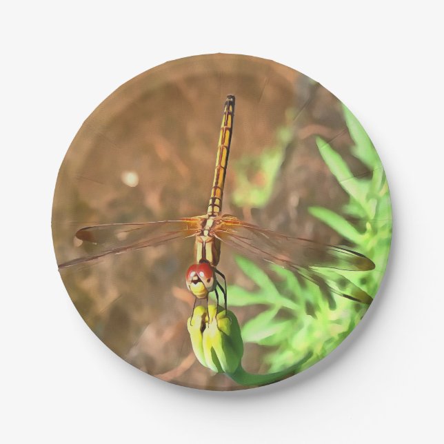 Plato De Papel Dragonfly artístico descansando sobre la cabeza de (Anverso)
