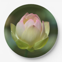Plato De Papel Dreamy Lotus Blossom