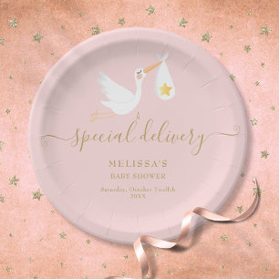 Plato De Papel Ducha de niña bebé rosa entrega especial cigüeña e