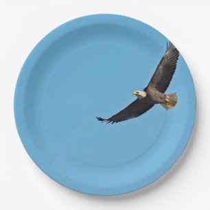 Plato De Papel Eagle calvo 7