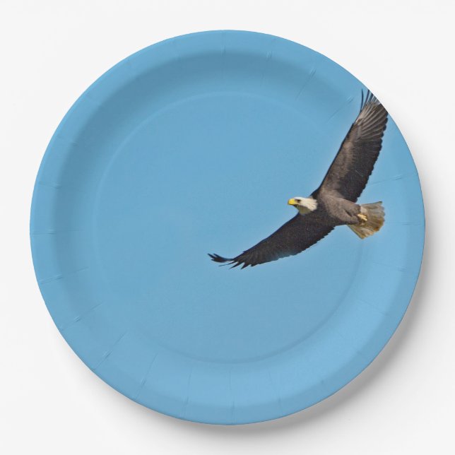 Plato De Papel Eagle calvo 7 (Anverso)