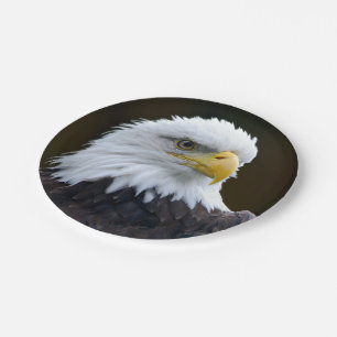 Plato De Papel Eagle calvo americano
