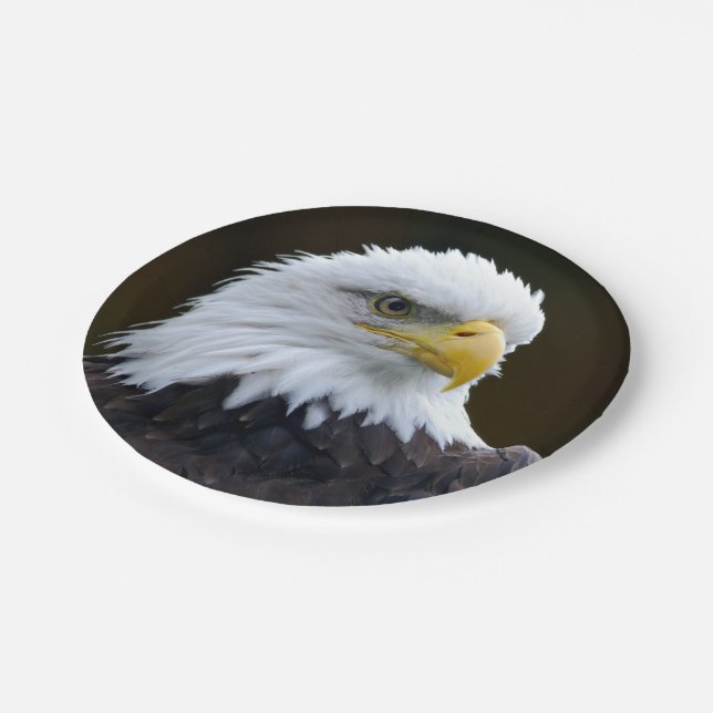 Plato De Papel Eagle calvo americano (Angular)