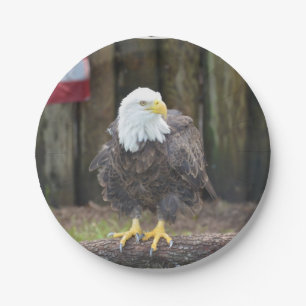 Plato De Papel Eagle calvo americano encaramado en un registro