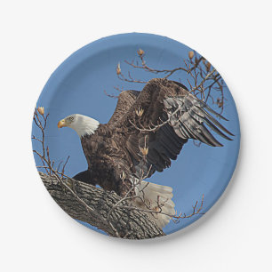 Plato De Papel Eagle calvo en una rama de árbol