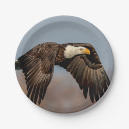 Plato De Papel Eagle calvo en vuelo