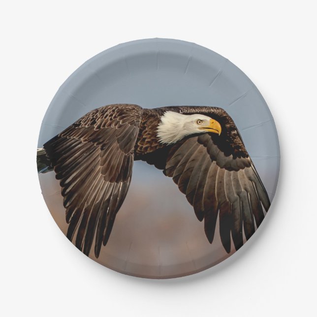 Plato De Papel Eagle calvo en vuelo (Anverso)