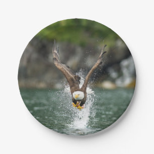Plato De Papel Eagle calvo la captura grande