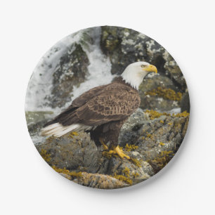 Plato De Papel Eagle calvo orgulloso