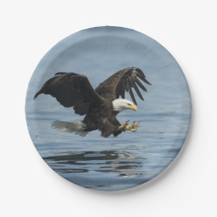 Plato De Papel Eagle en acercamiento