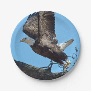 Plato De Papel El águila calva despegando