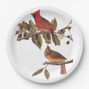 Plato De Papel El cardenal Grosbeak Aves Audubon de América