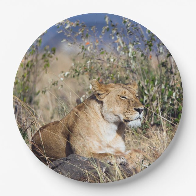 Plato De Papel El descanso de la leona (Anverso)