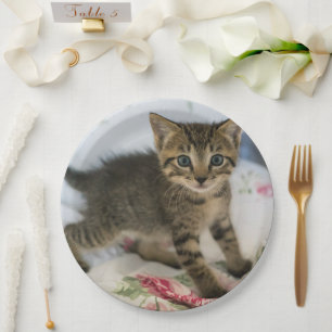 Plato De Papel El Gatito De Tabby Cuyo Asombro Parece