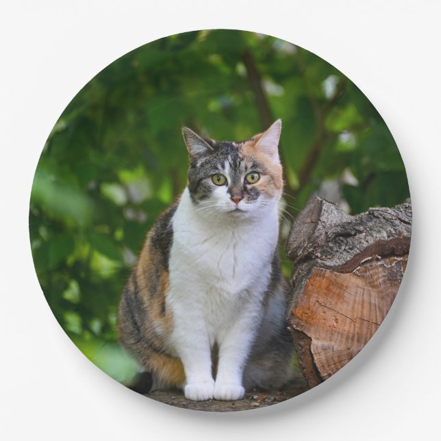 Plato De Papel El gato (Anverso)