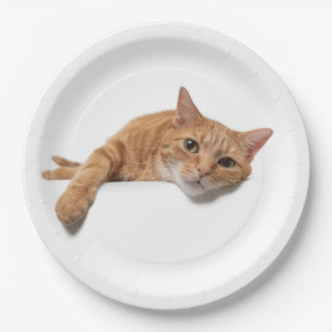 Plato De Papel El gato del Naranja está caído