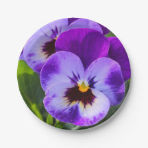 El gigante pong Pansy rellena esto