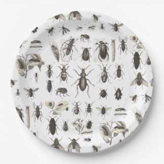 Plato De Papel El insecto divertido de los insectos deliciosos
