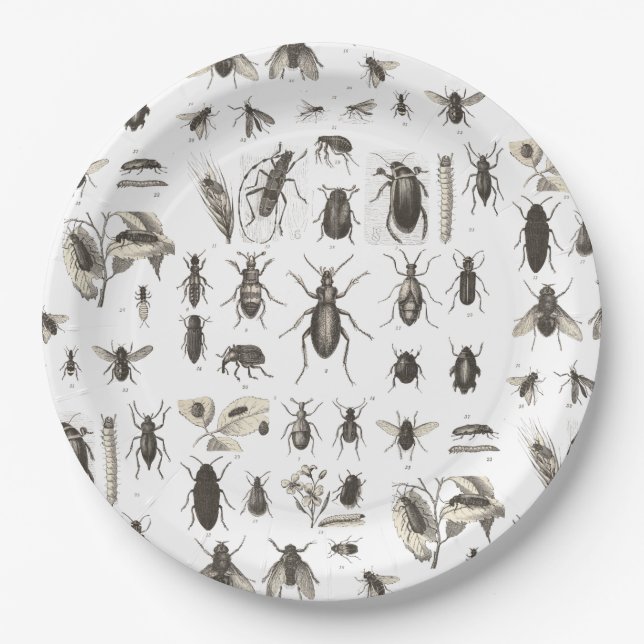 Plato De Papel El insecto divertido de los insectos deliciosos (Anverso)