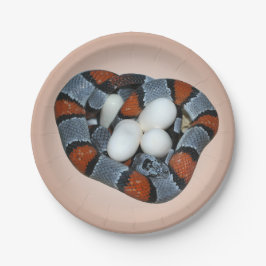Plato De Papel El kingsnake gris-congregado