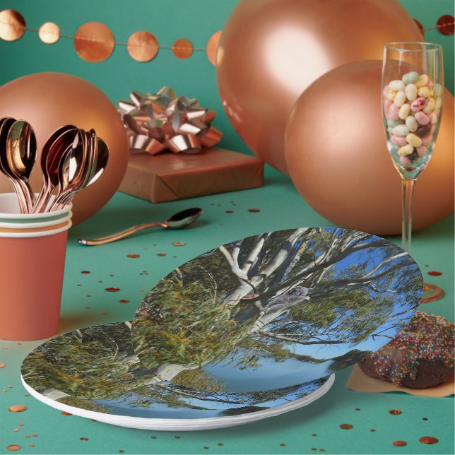 Plato De Papel El Oso De Koala Dormía En El Árbol De Goma, (Multi)