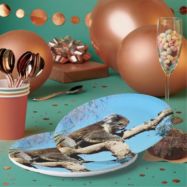 Plato De Papel El Oso De Koala En El Viejo Árbol De Pino, (Multi)